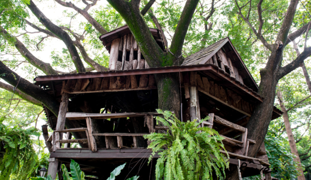 Arthur a fait un séjour insolite dans une cabane dans les arbres