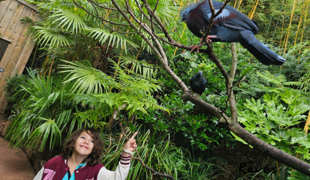 Charlotte a fait un séjour au Zoo de La Flèche