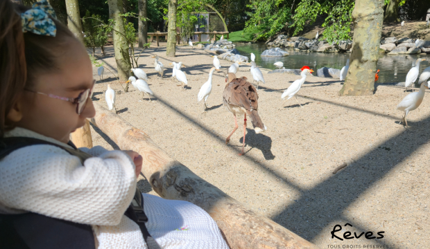 Ayla a fait un séjour au Zoo Pairi Daiza en famille