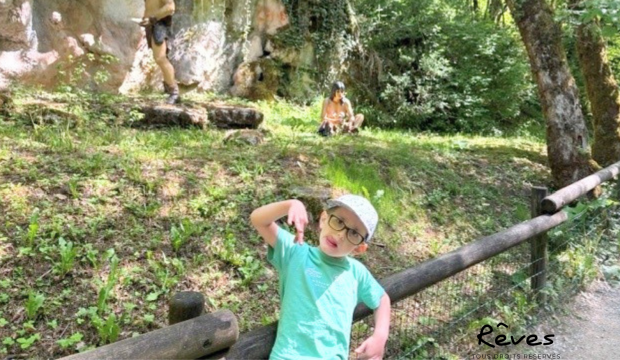 Sasha  a découvert les dinosaures!