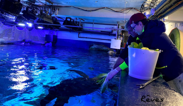 Mathys soigneur de requins à l’Aquarium de Biarritz 