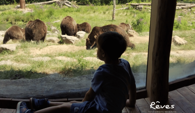 Jules a fait un séjour au Zoo Pairi Daiza en famille