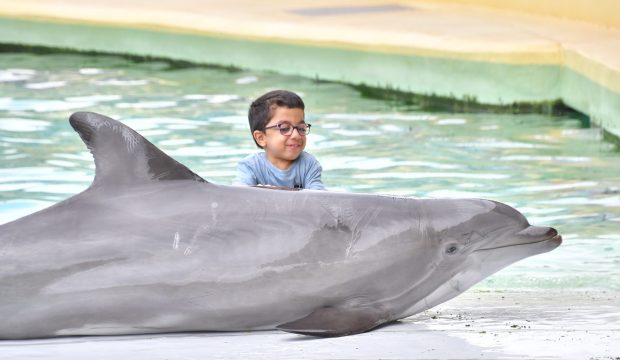 Marwan a approché les dauphins