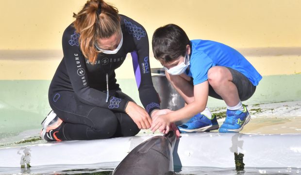 Soren a approché les dauphins