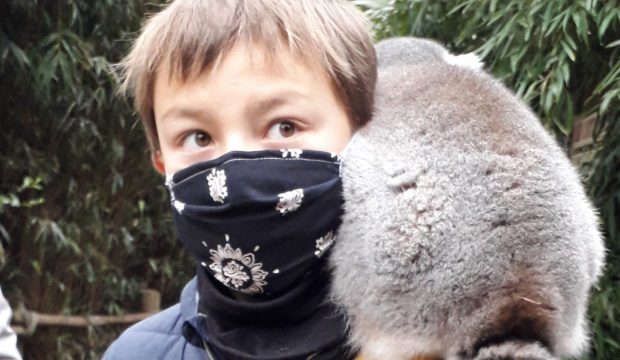 Ghislain a séjourné au zoo de la Flèche