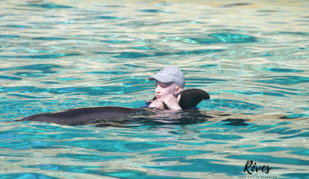 Tom a nagé avec les dauphins