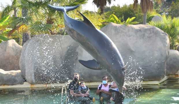 Mathéo au plus près des dauphins !