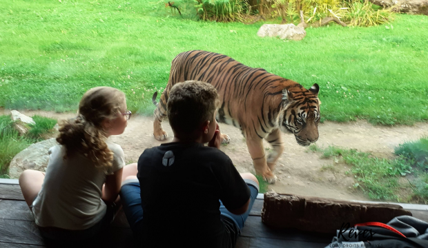 Axel a fait un séjour au zoo de la Flèche