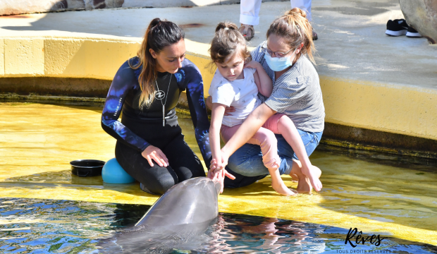 Maëlys a approché les dauphins