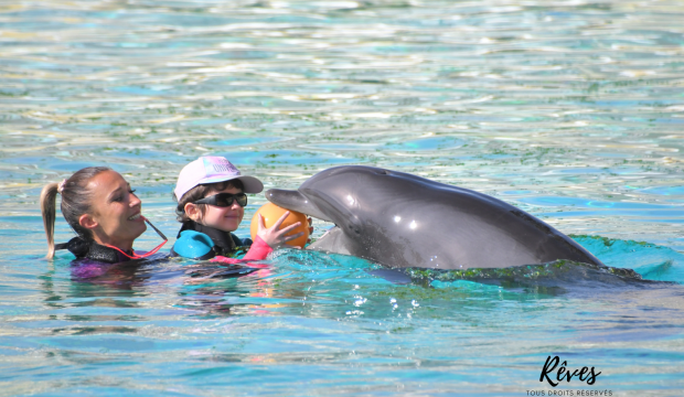 Emma a approché les dauphins