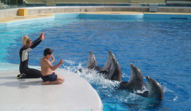 Théo a approché les dauphins