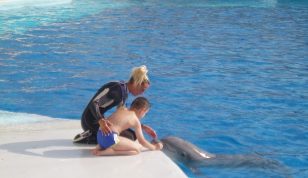 Ethan a approché les dauphins