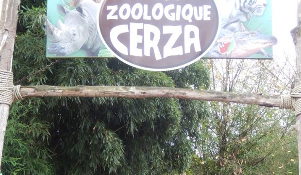 Kenny a visité le zoo de Cerza