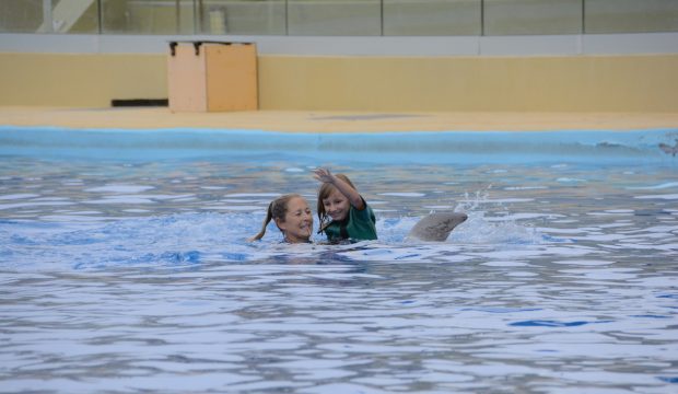 Kayna a nagé avec les dauphins