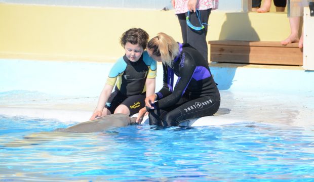 Carla a approché les dauphins