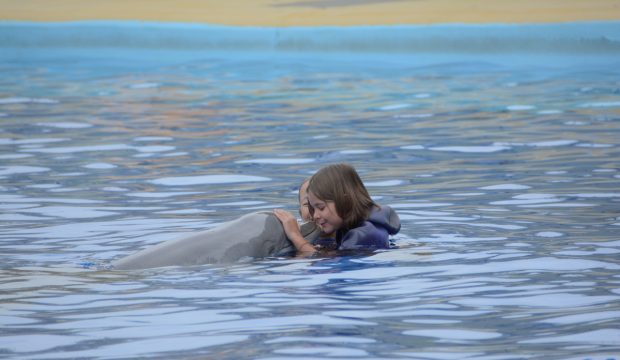Marion a nagé avec les dauphins