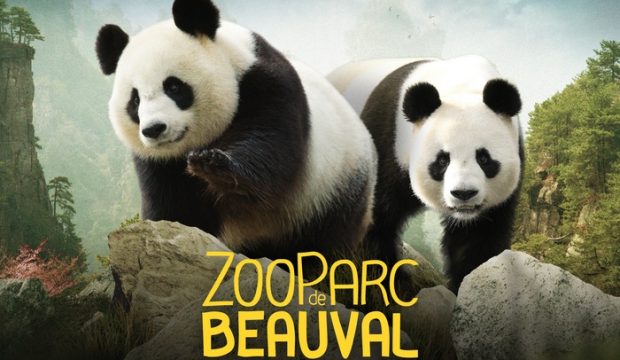 Ambre a fait un séjour au zoo de Beauval en famille
