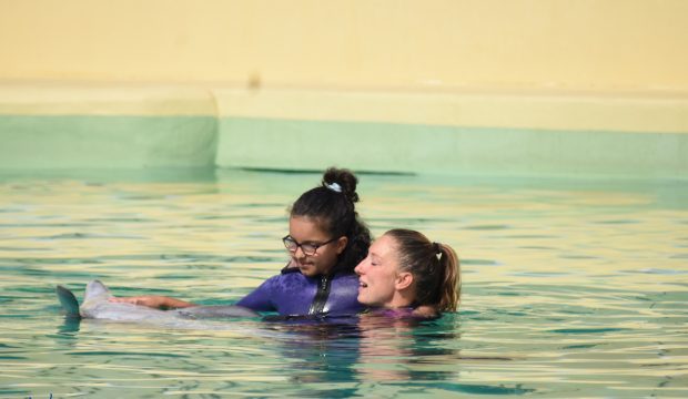 Aya a nagé avec des dauphins