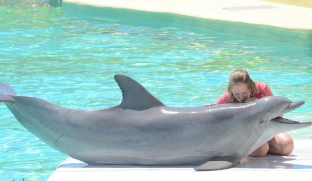 Eline a nagé avec les dauphins