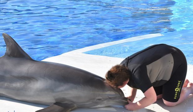 Oiana a réalisé son rêve, elle a approché les dauphins
