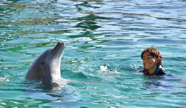 Déborah a nagé avec les dauphins