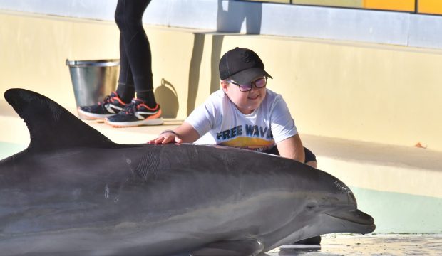 NOAH a approché les dauphins