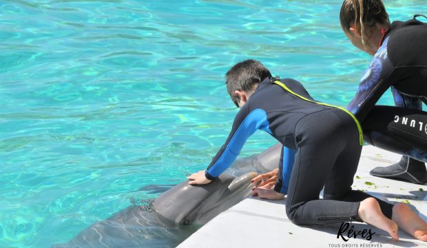 Adam a nagé avec les dauphins