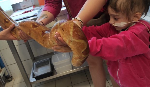 Léa  a fait un séjour au zoo de Beauval