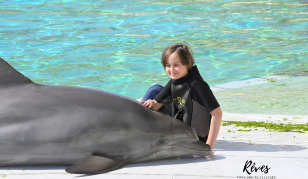 Alice a nagé avec les dauphins