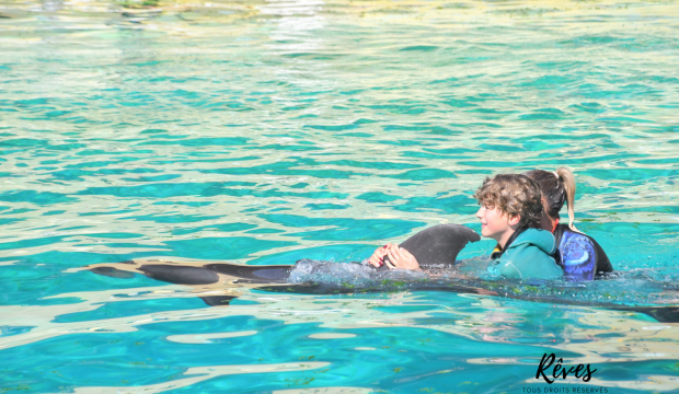 Alan a nagé avec les dauphins