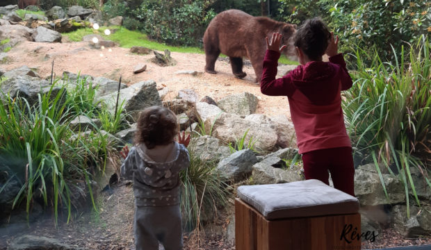 Nahia a fait un séjour au zoo de la Flèche