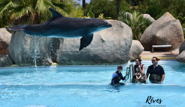 Mathéo a approché les dauphins