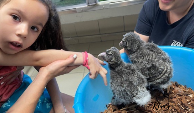 Mathilde  a fait un séjour au zoo de Beauval