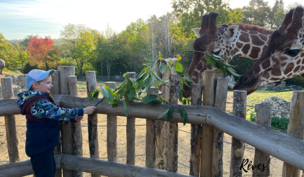 Natéo  a fait un séjour au zoo de Beauval