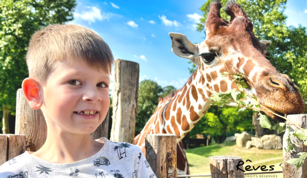 Charlie a fait un séjour au zoo de Beauval