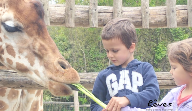 Elyo a fait un séjour au Zoo de La Flèche en famille