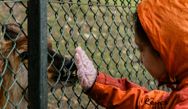 Sara a séjourné au Zoo de Beauval