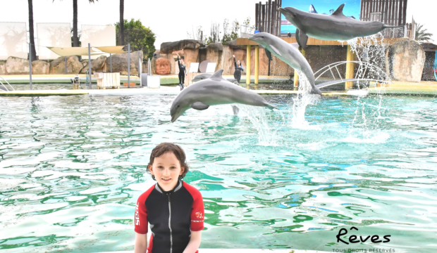 Nahé a nagé avec les dauphins