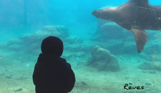 Mathys a fait un séjour au Zoo Pairi Daiza en famille