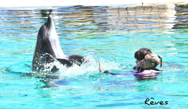 Maé a nagé avec les dauphins