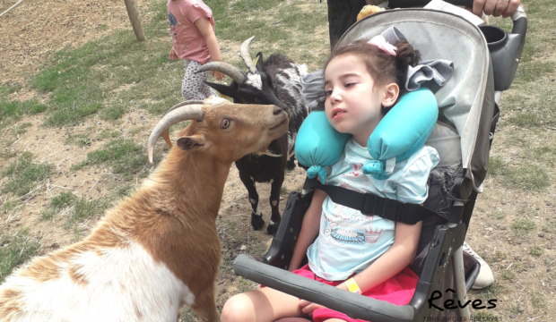 Lina a fait un séjour au zoo de Thoiry