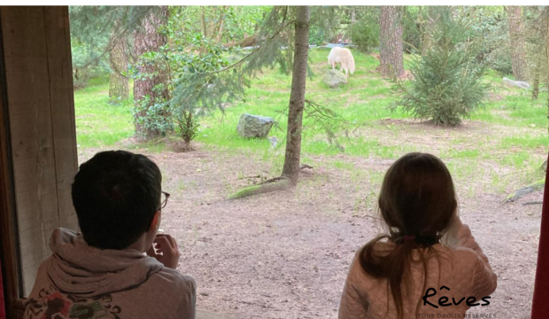 Sacha a fait un séjour au Zoo de La Flèche en famille