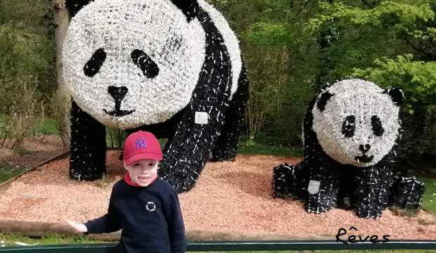 Timéo a fait un séjour au zoo de Beauval