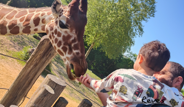 Lyam  a fait un séjour au zoo de Beauval